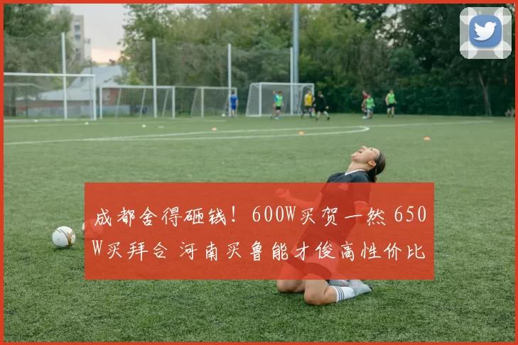 成都舍得砸钱!600W买贺一然 650W买拜合 河南买鲁能才俊高性价比