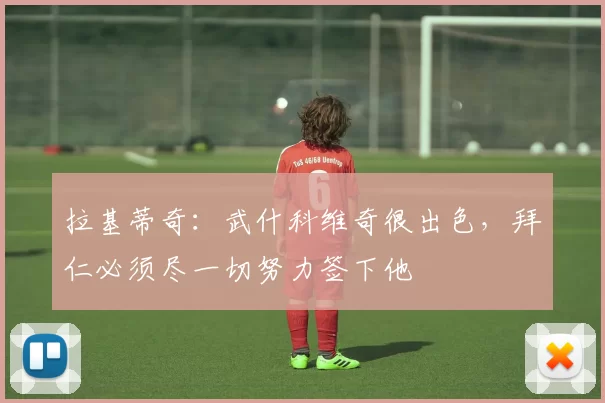 拉基蒂奇：武什科维奇很出色，拜仁必须尽一切努力签下他