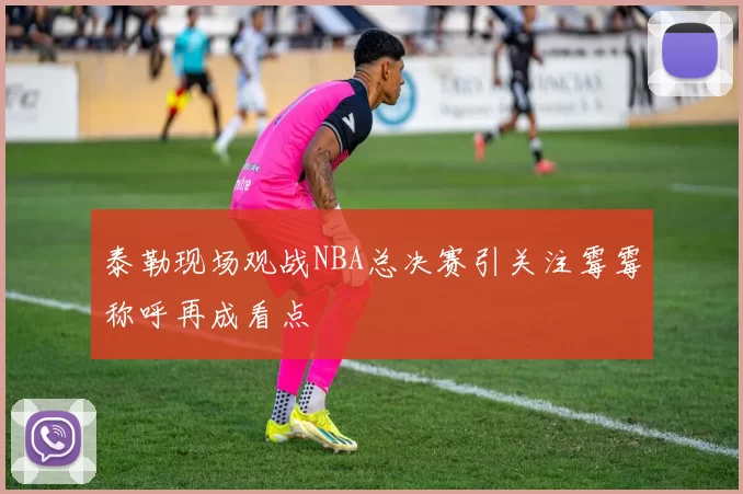 泰勒现场观战NBA总决赛引关注霉霉称呼再成看点