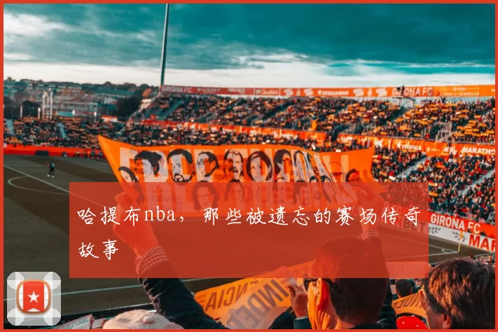 哈提布nba，那些被遗忘的赛场传奇故事