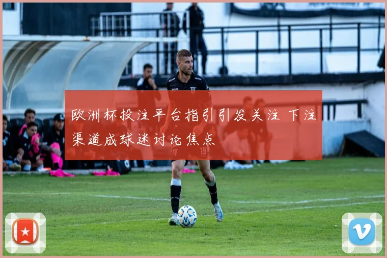 欧洲杯投注平台指引引发关注 下注渠道成球迷讨论焦点