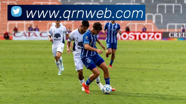 爱游戏ayx登陆平台生态图